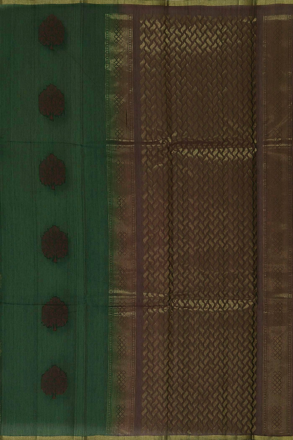 Green Silk Cotton Saree