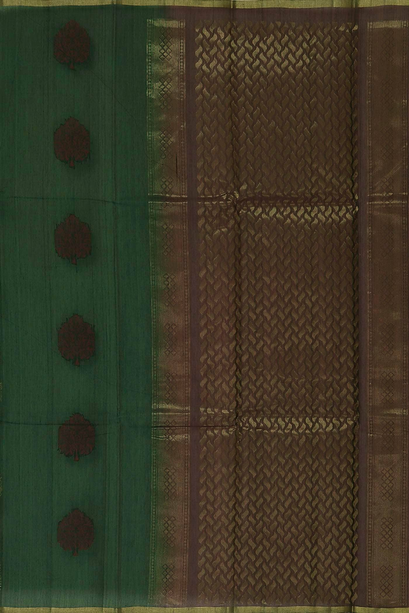 Green Silk Cotton Saree