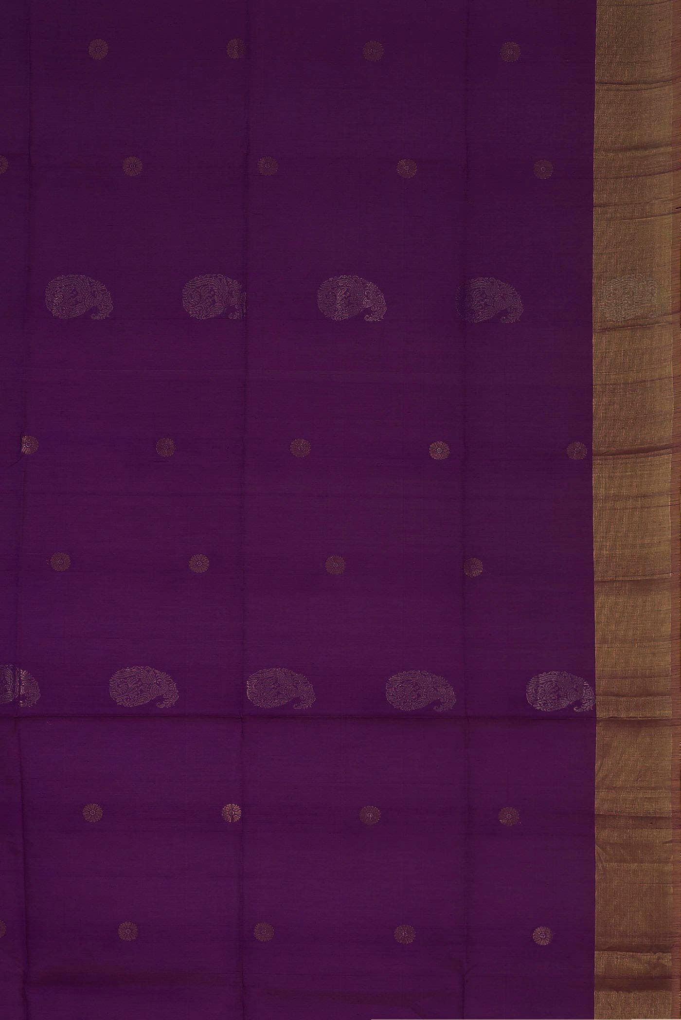 Purple Silk Cotton Saree