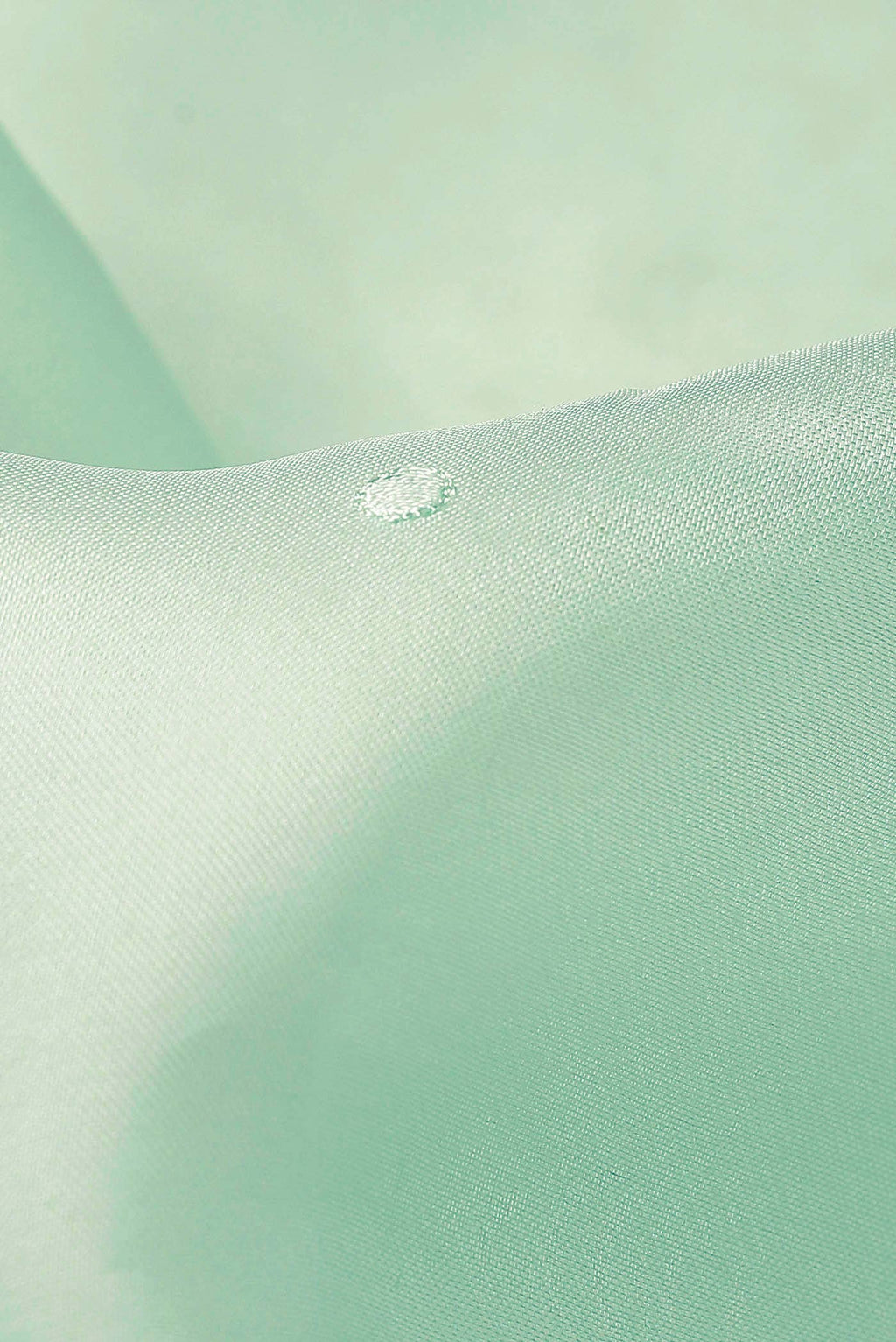 Green Organza Silk Saree