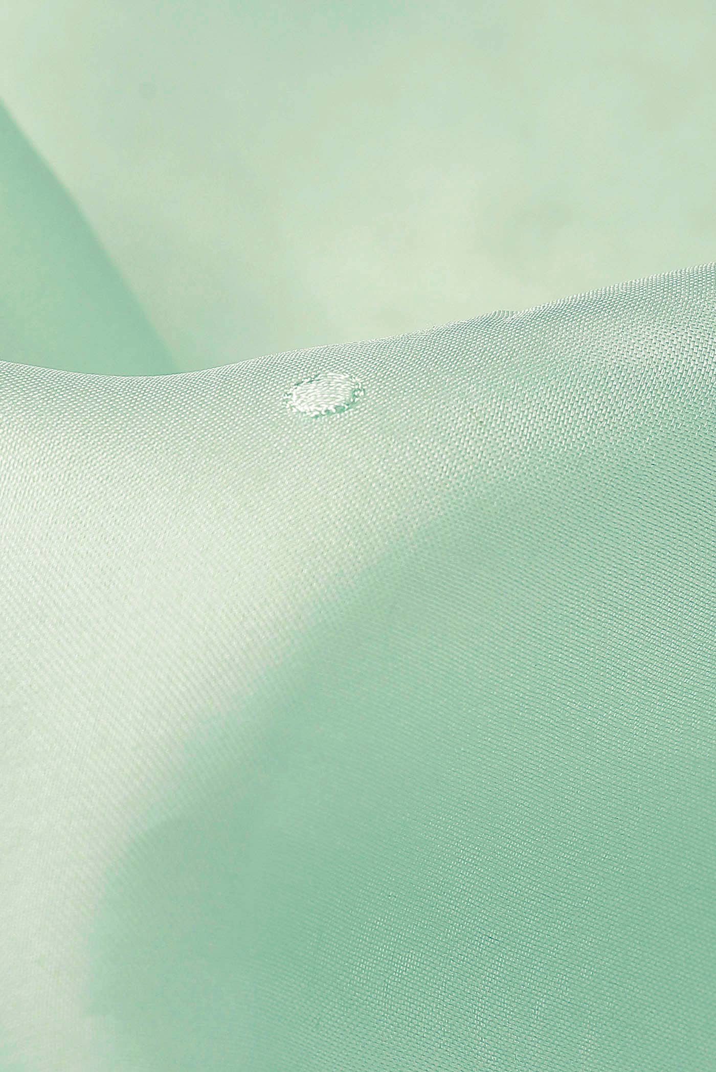Green Organza Silk Saree