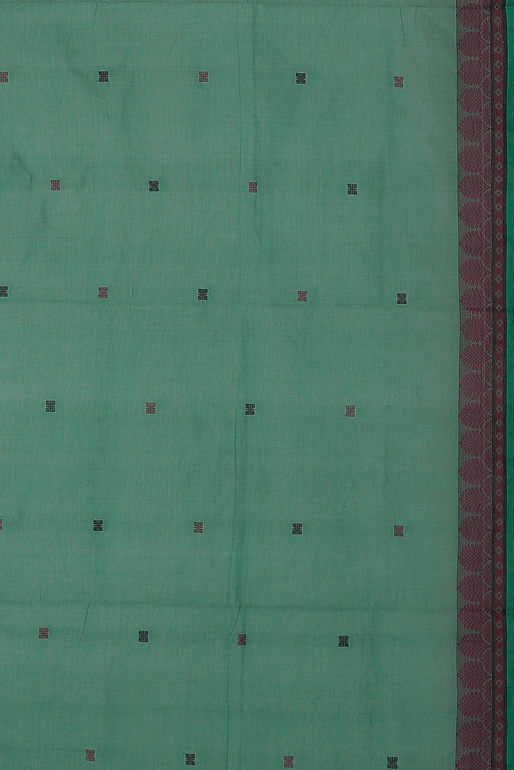 Green Coimbatore Cotton Saree