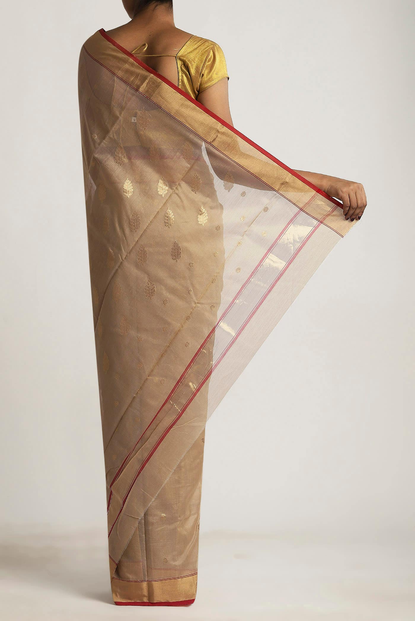 Beige Chanderi Silk Cotton Saree
