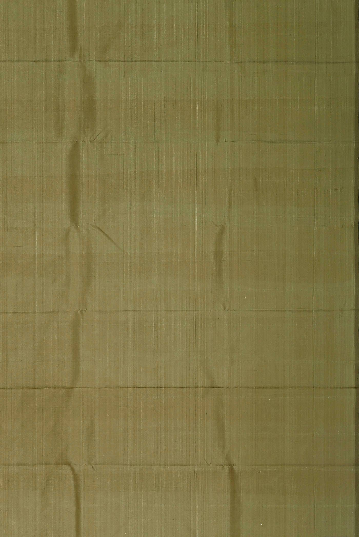 Beige Kanchipuram Silk Saree