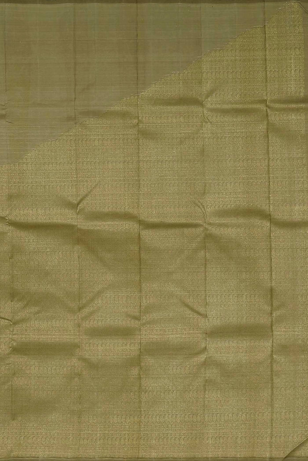Beige Kanchipuram Silk Saree