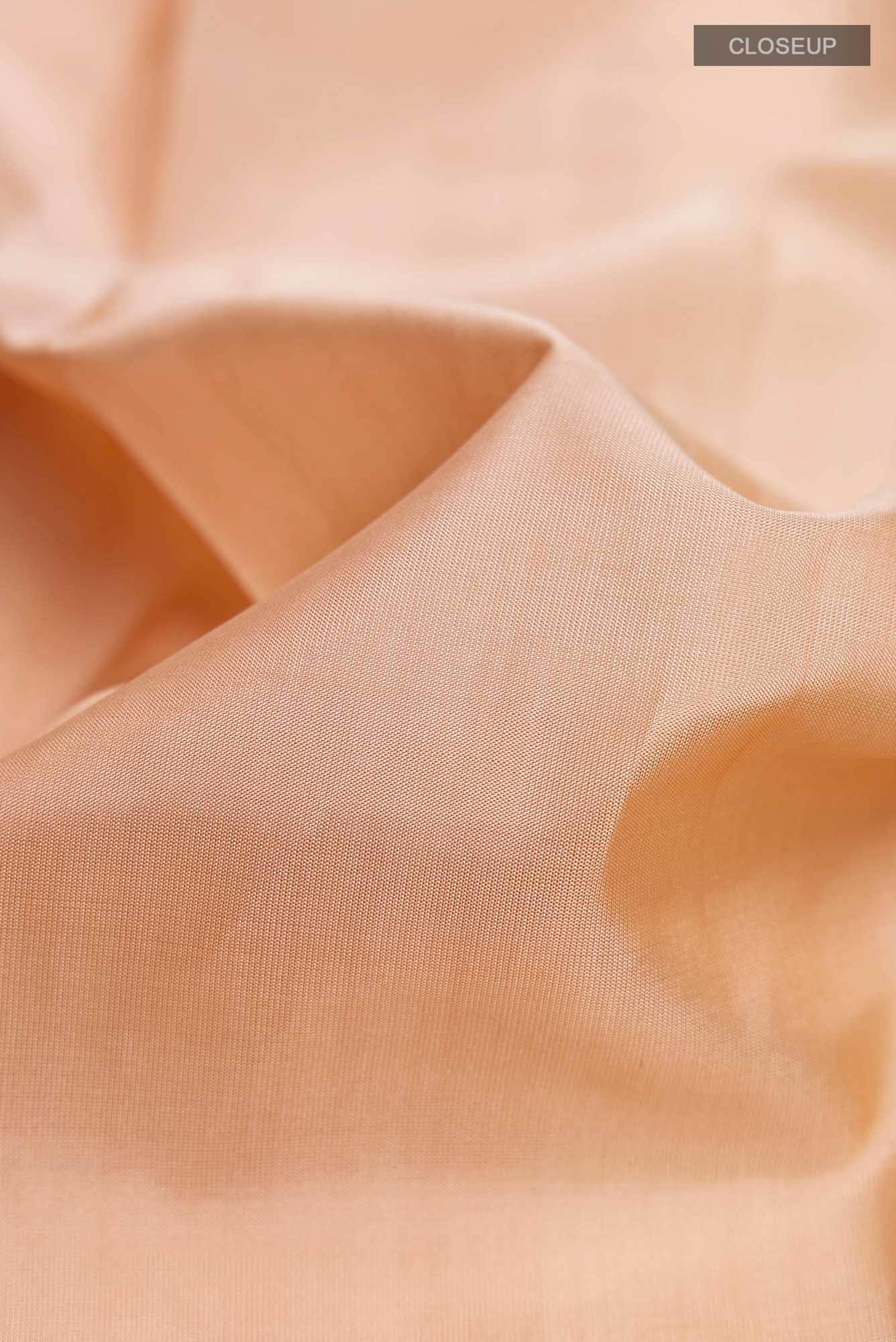 Beige Kanchipuram Silk Saree