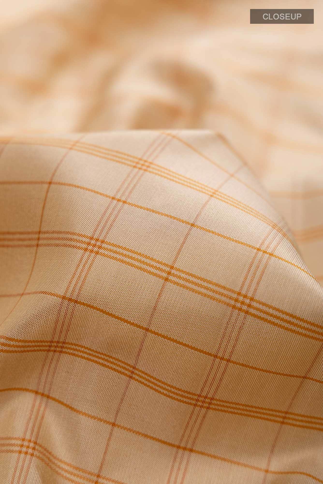 Cream Paithani Silk Saree