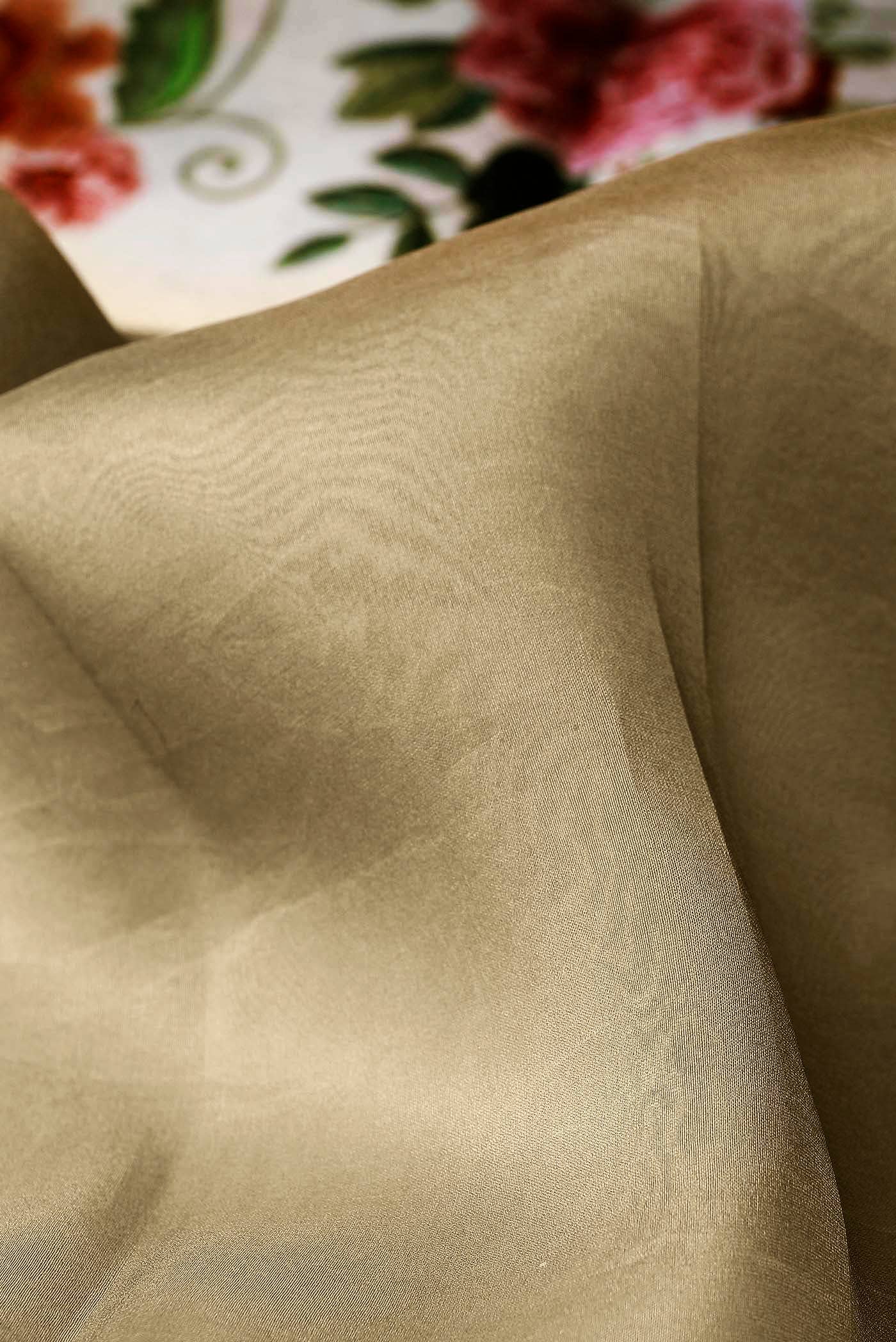 Dark Beige Organza Silk Saree