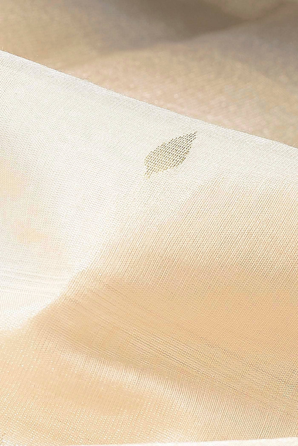 Cream Bhagalpuri Tussar Silk Saree