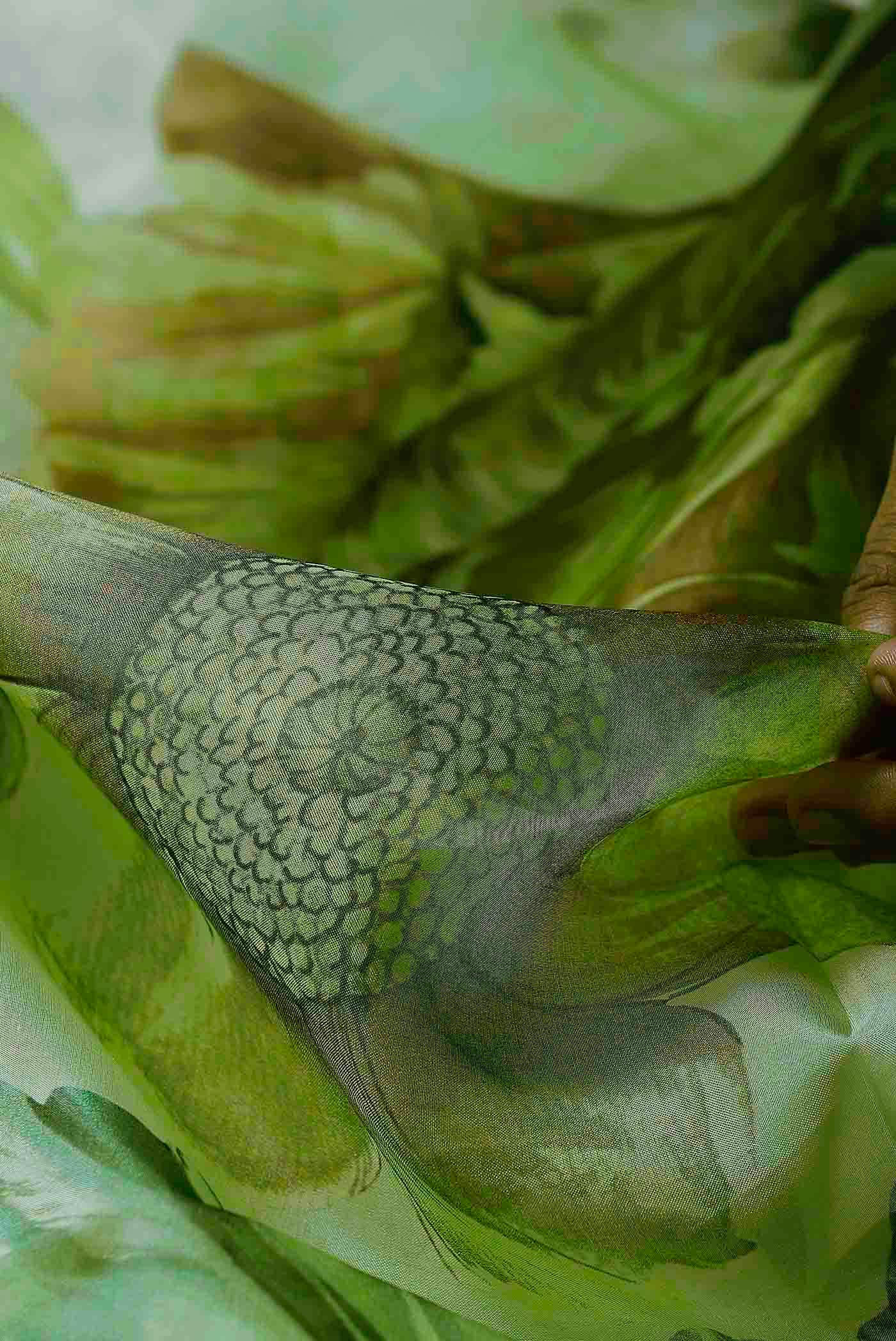 Green Organza Silk Saree