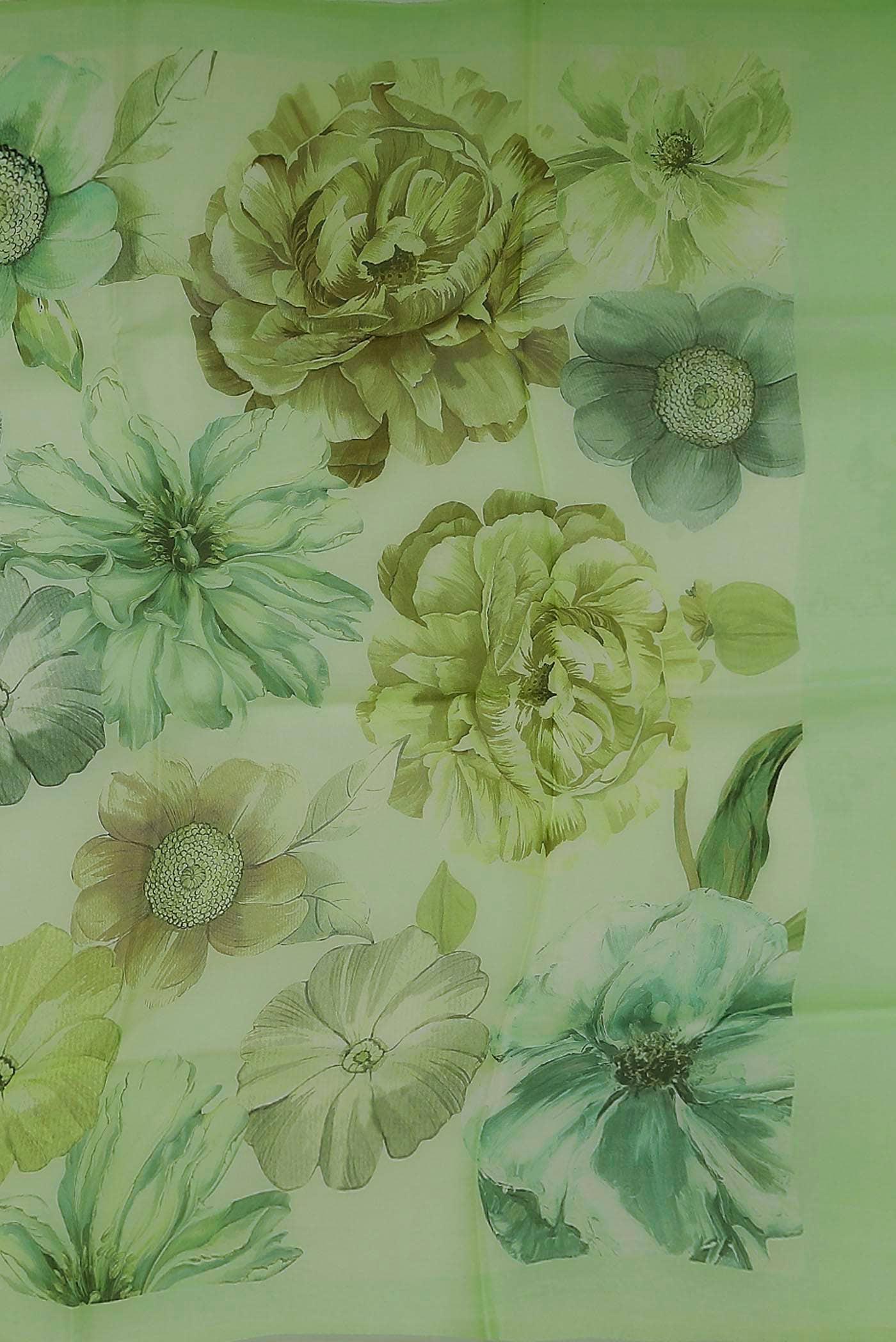 Green Organza Silk Saree