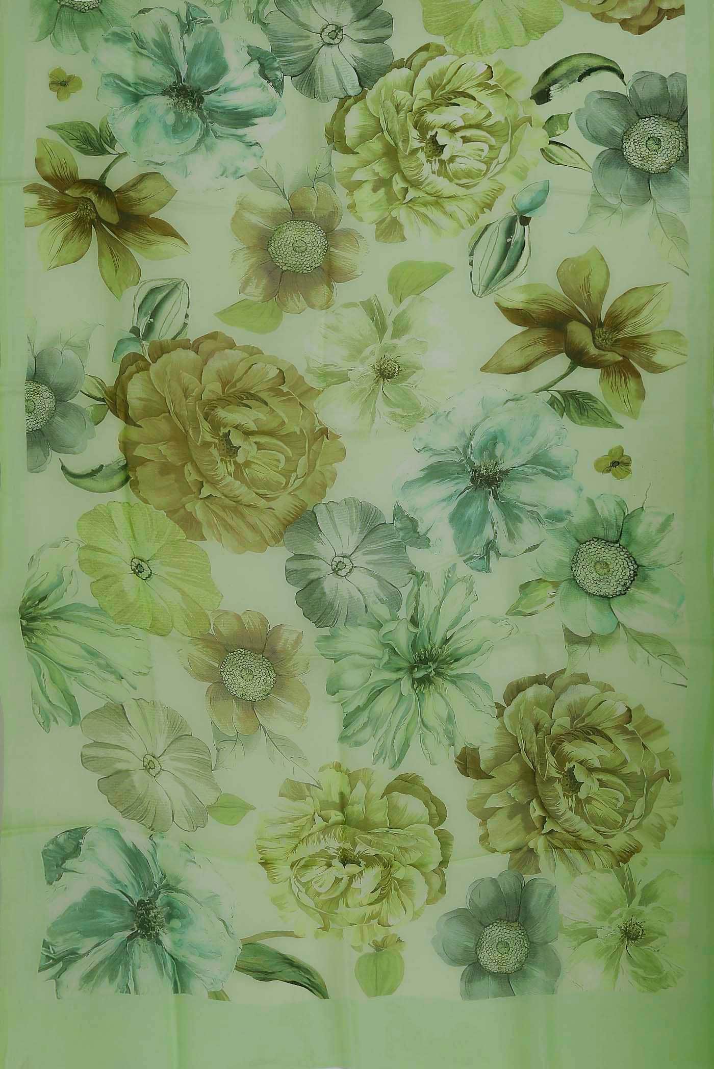 Green Organza Silk Saree