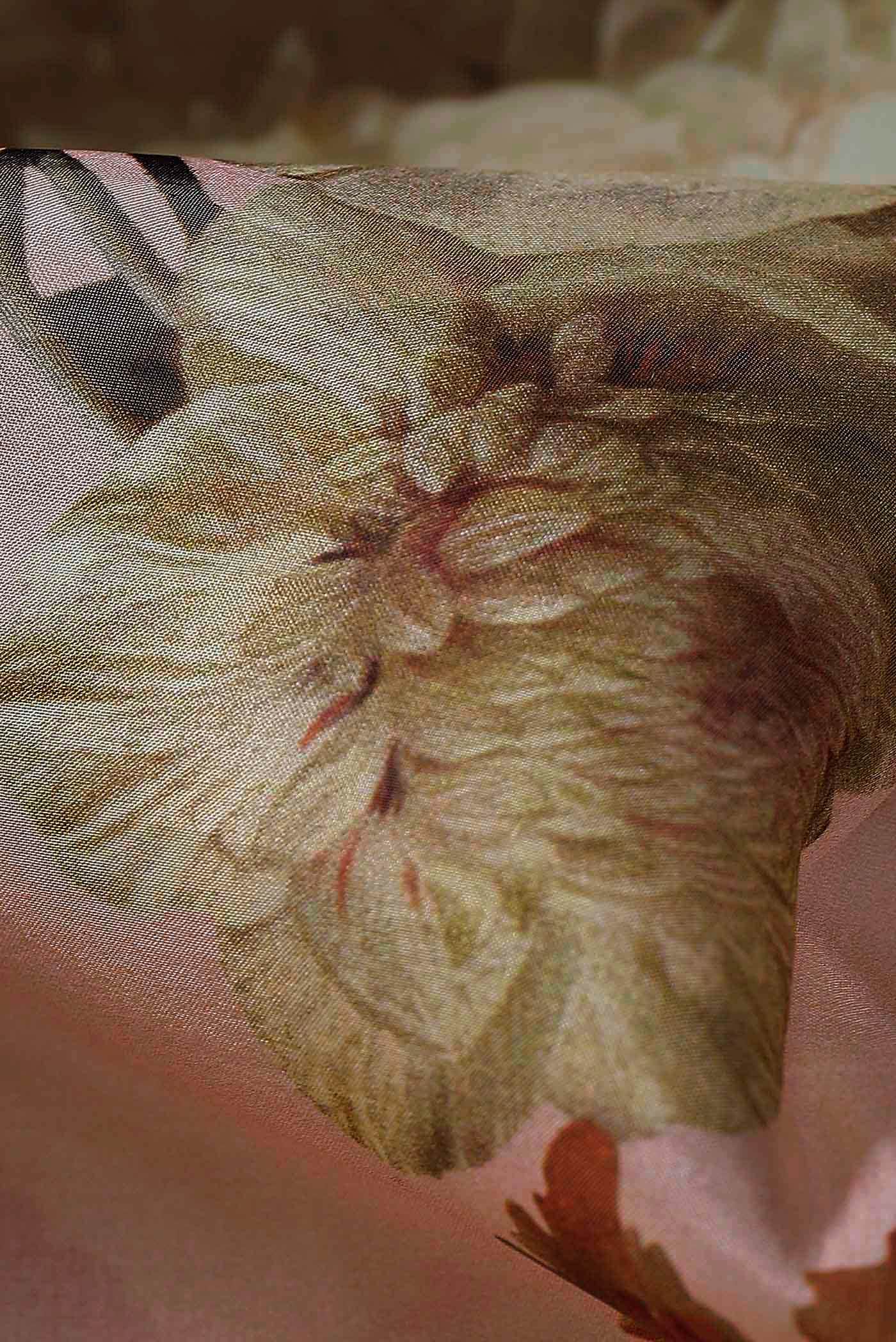 Peach Organza Silk Saree