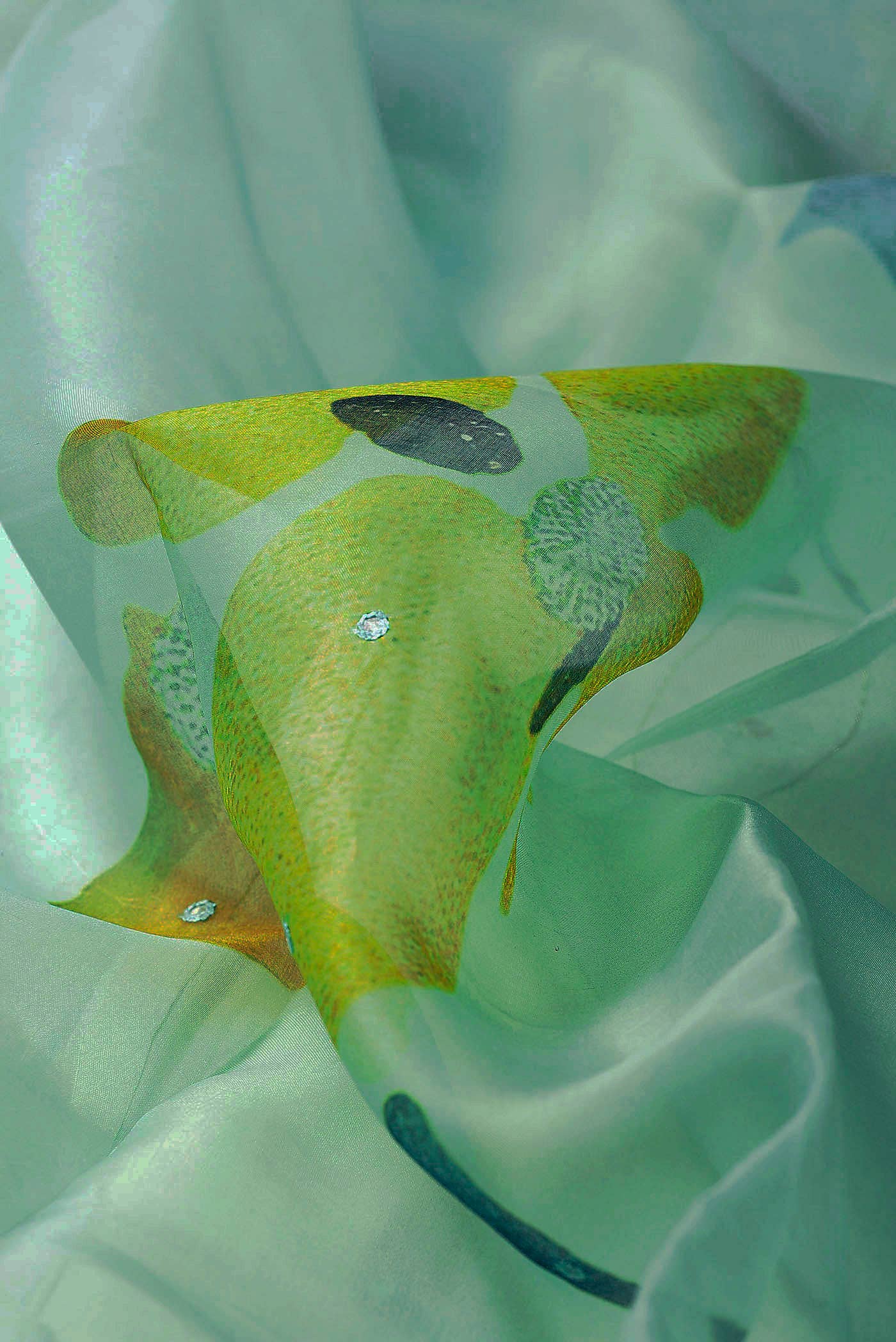 Mint Green Organza Silk Saree