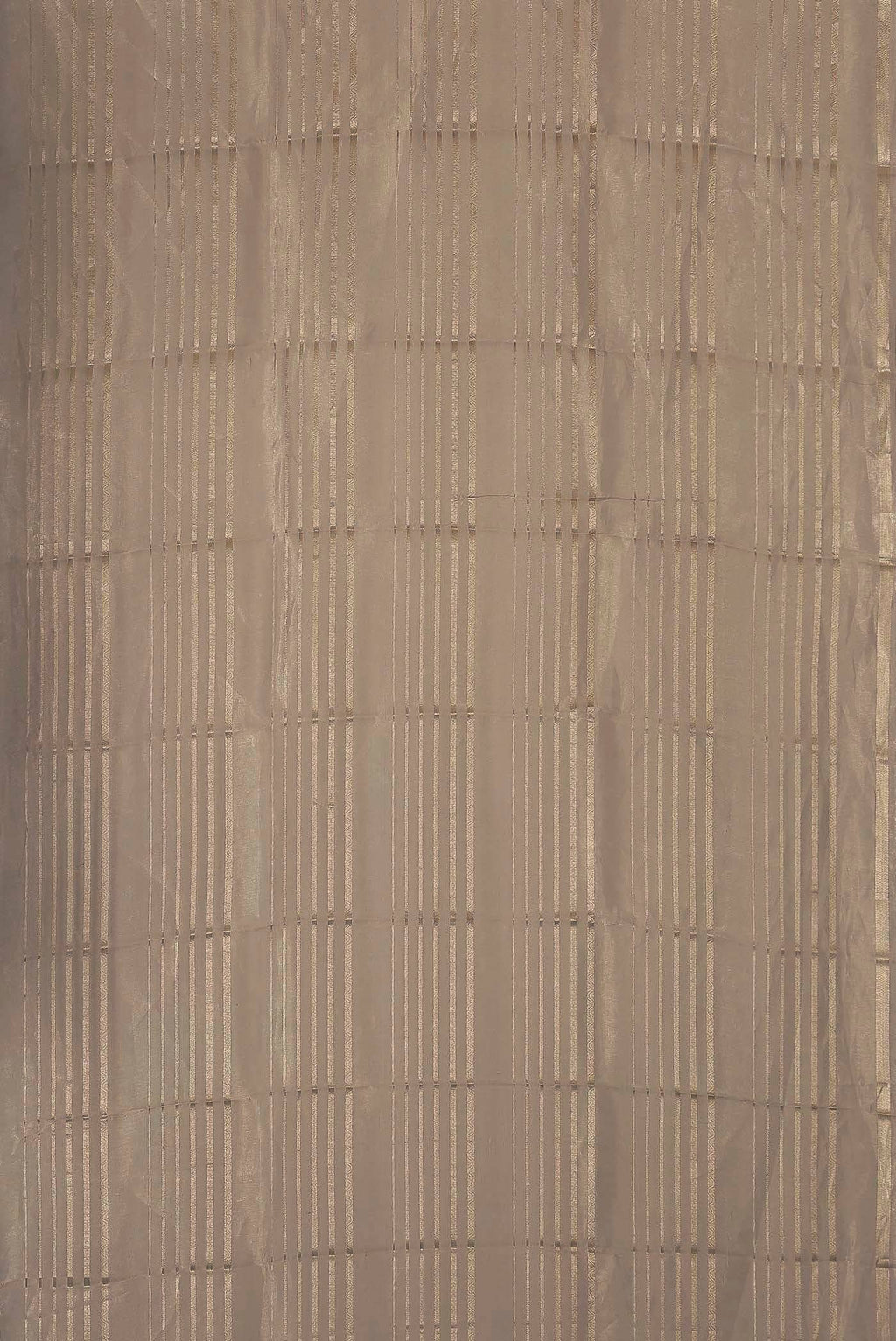 Beige Organza Silk Saree