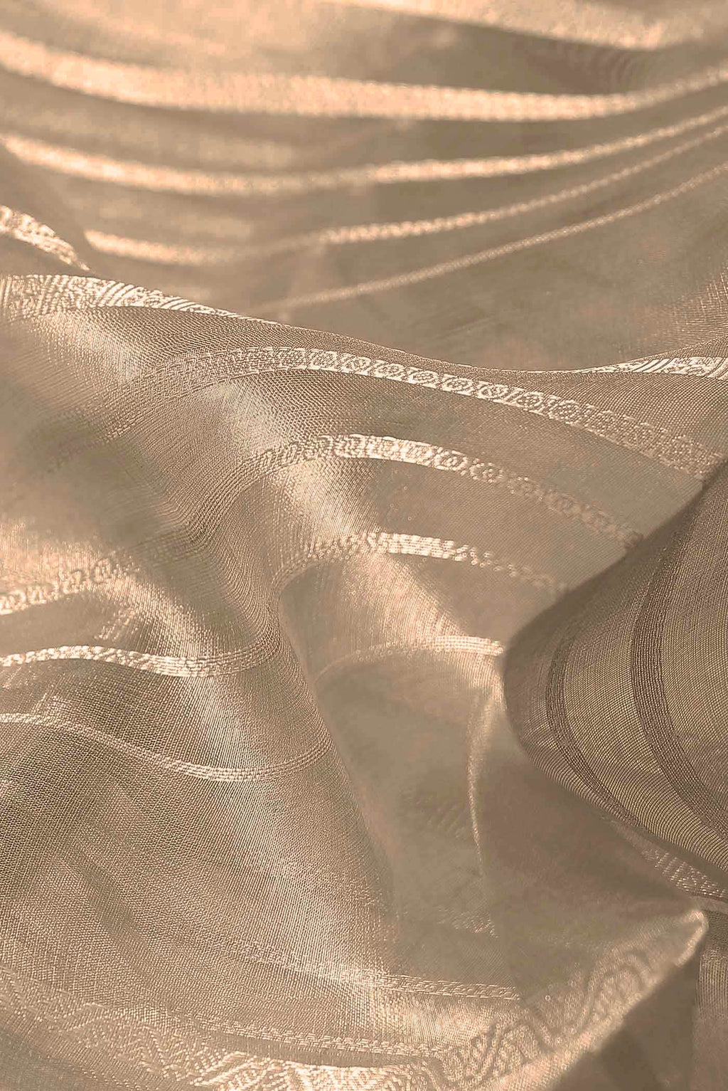 Beige Organza Silk Saree