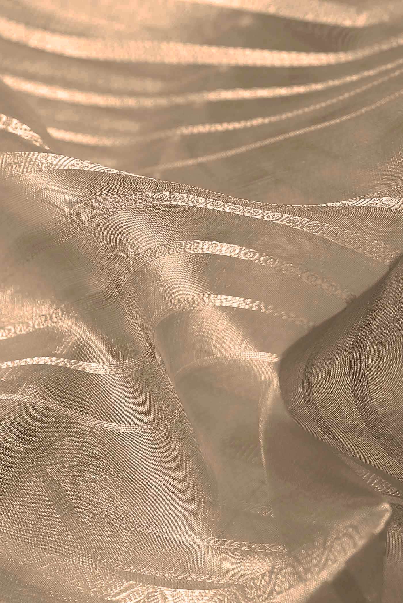Beige Organza Silk Saree