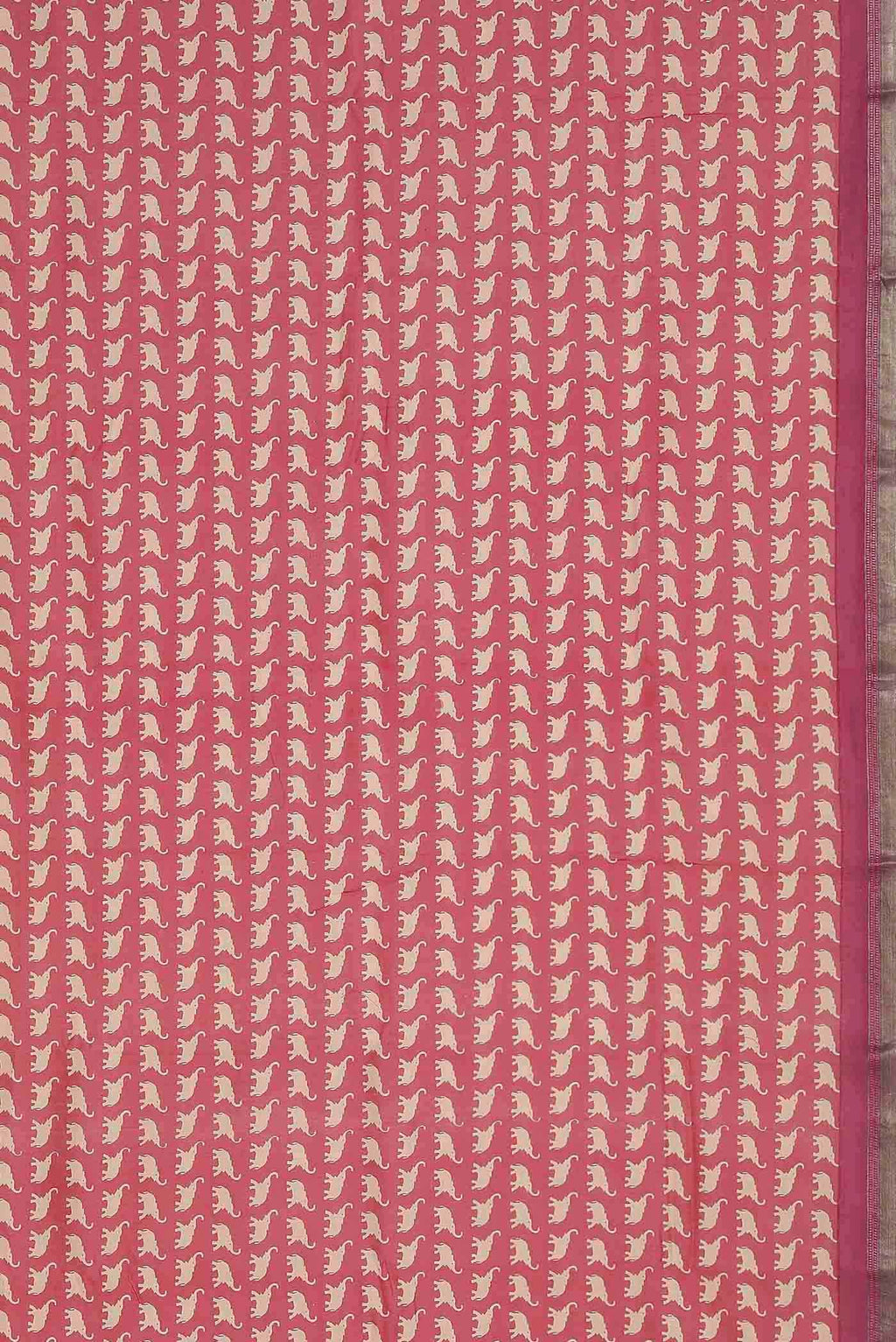 Coral Chanderi Silk Cotton Saree