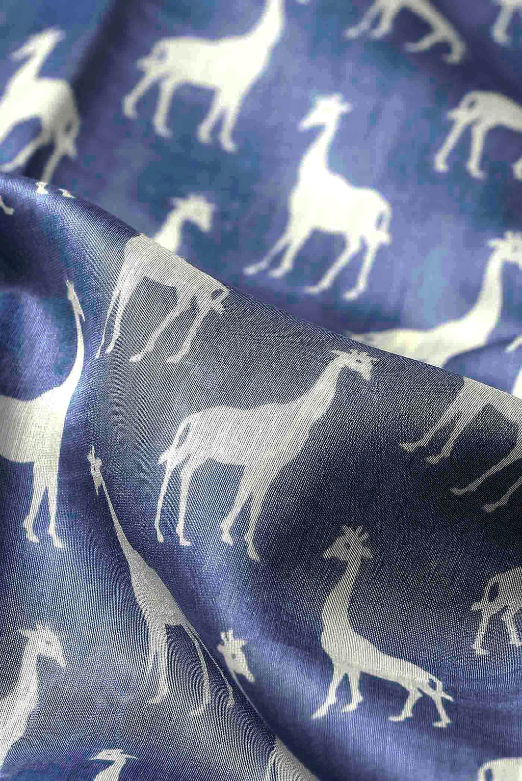 Blue Chanderi Silk Cotton Saree