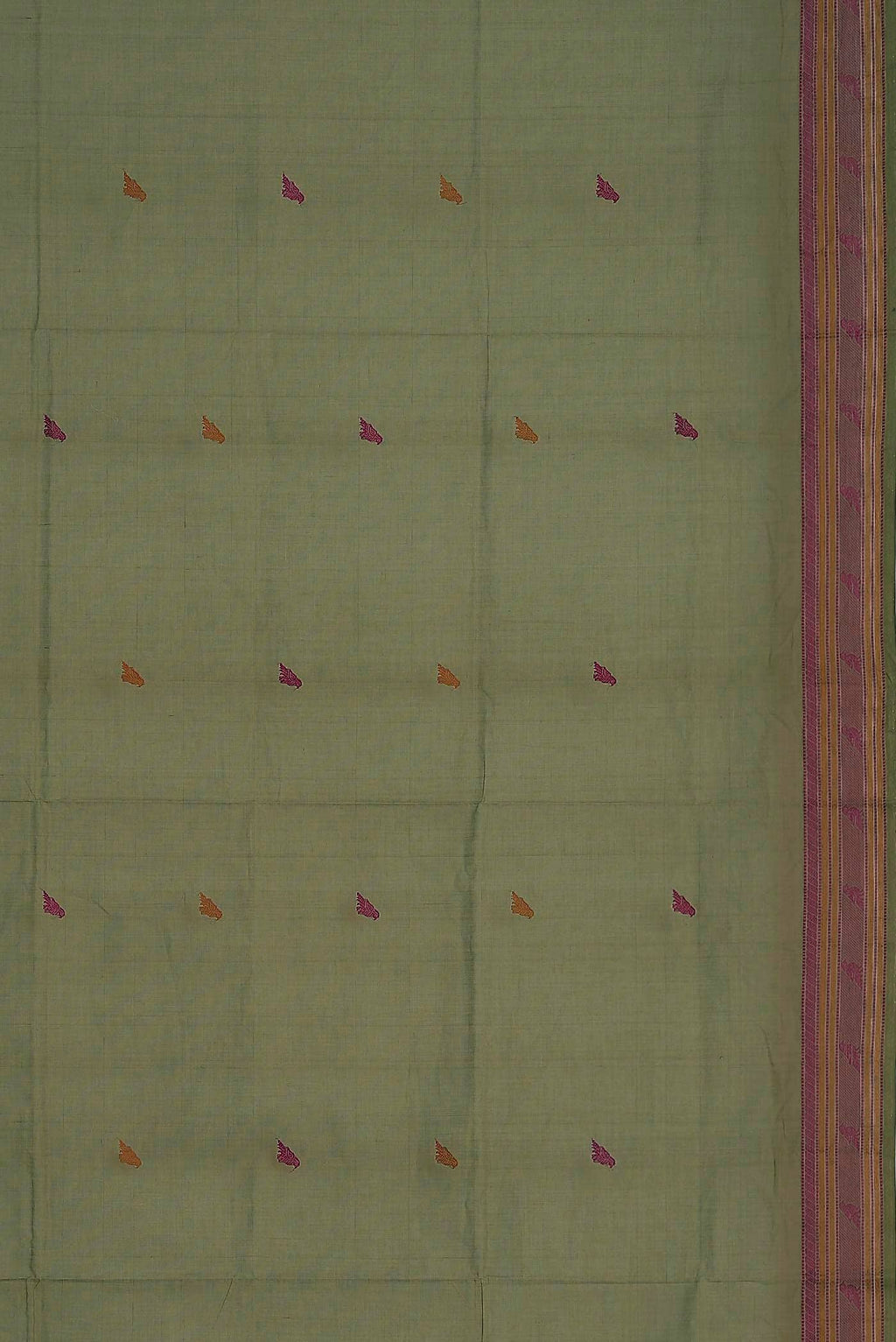 Green Coimbatore Cotton Saree