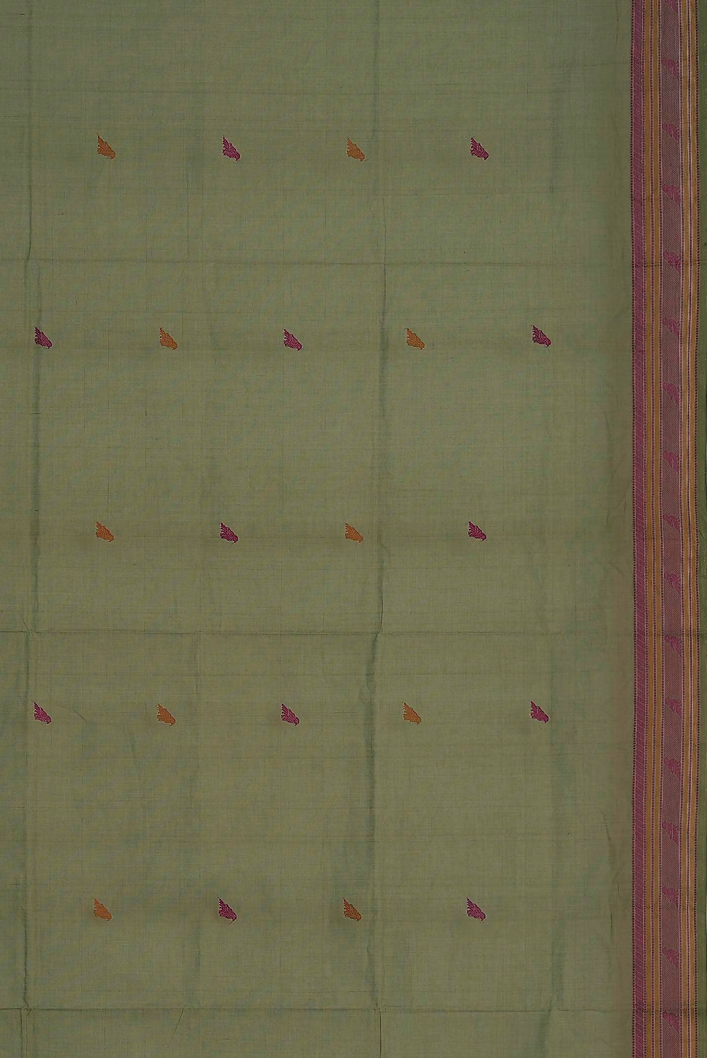 Green Coimbatore Cotton Saree