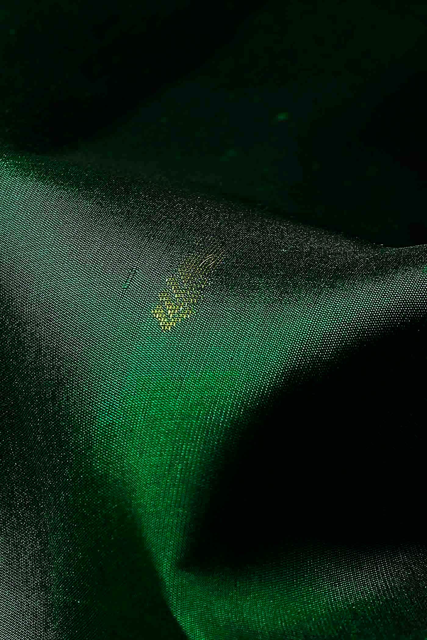Green Kanchipuram Silk Saree