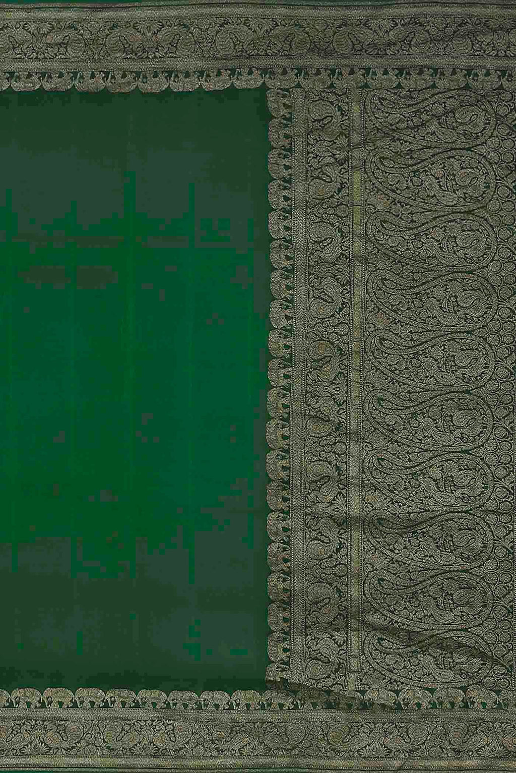 Green Banarasi Georgette Saree