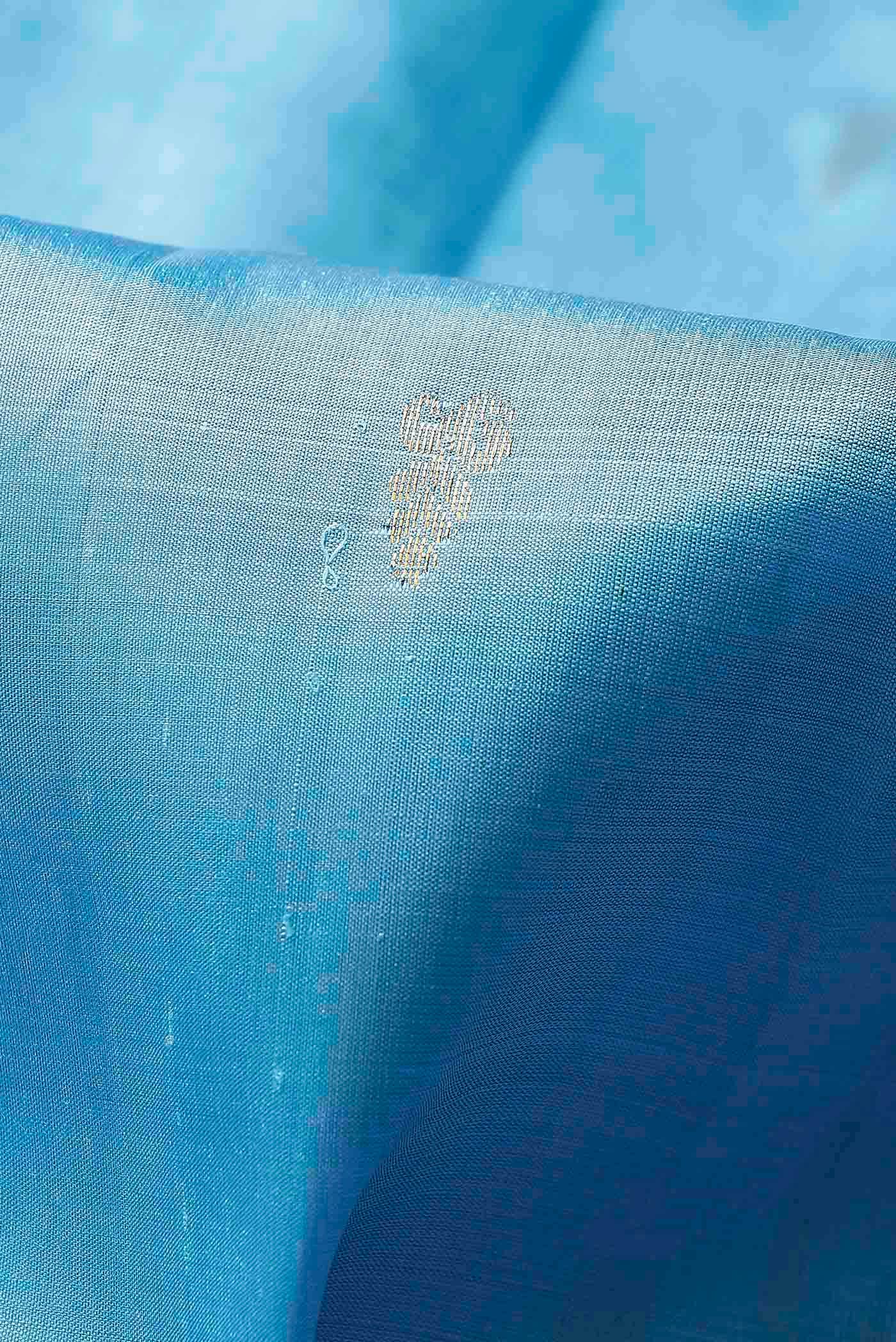 Blue Kanchipuram Silk Saree
