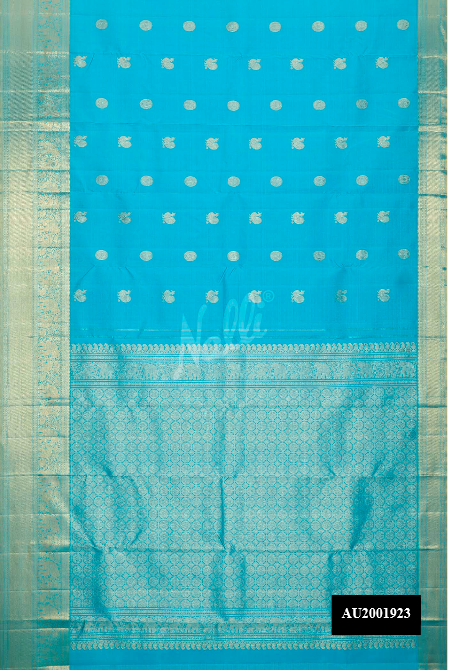 Sky Blue Kanchipuram Silk Saree