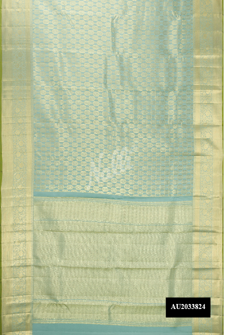 Davys Grey Kanchipuram Silk Saree