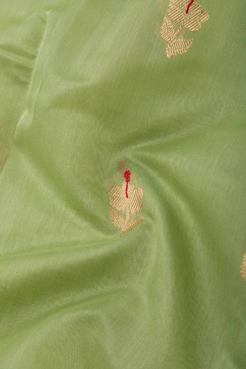 Shyama - Sage Green Chanderi Silk Cotton Saree