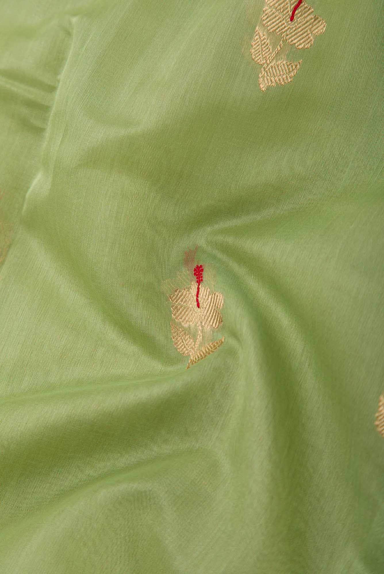Shyama - Sage Green Chanderi Silk Cotton Saree
