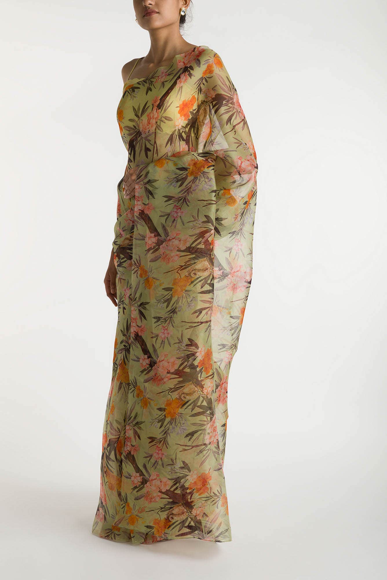 Tropical Parrots Pista Green Pure Organza Silk Saree