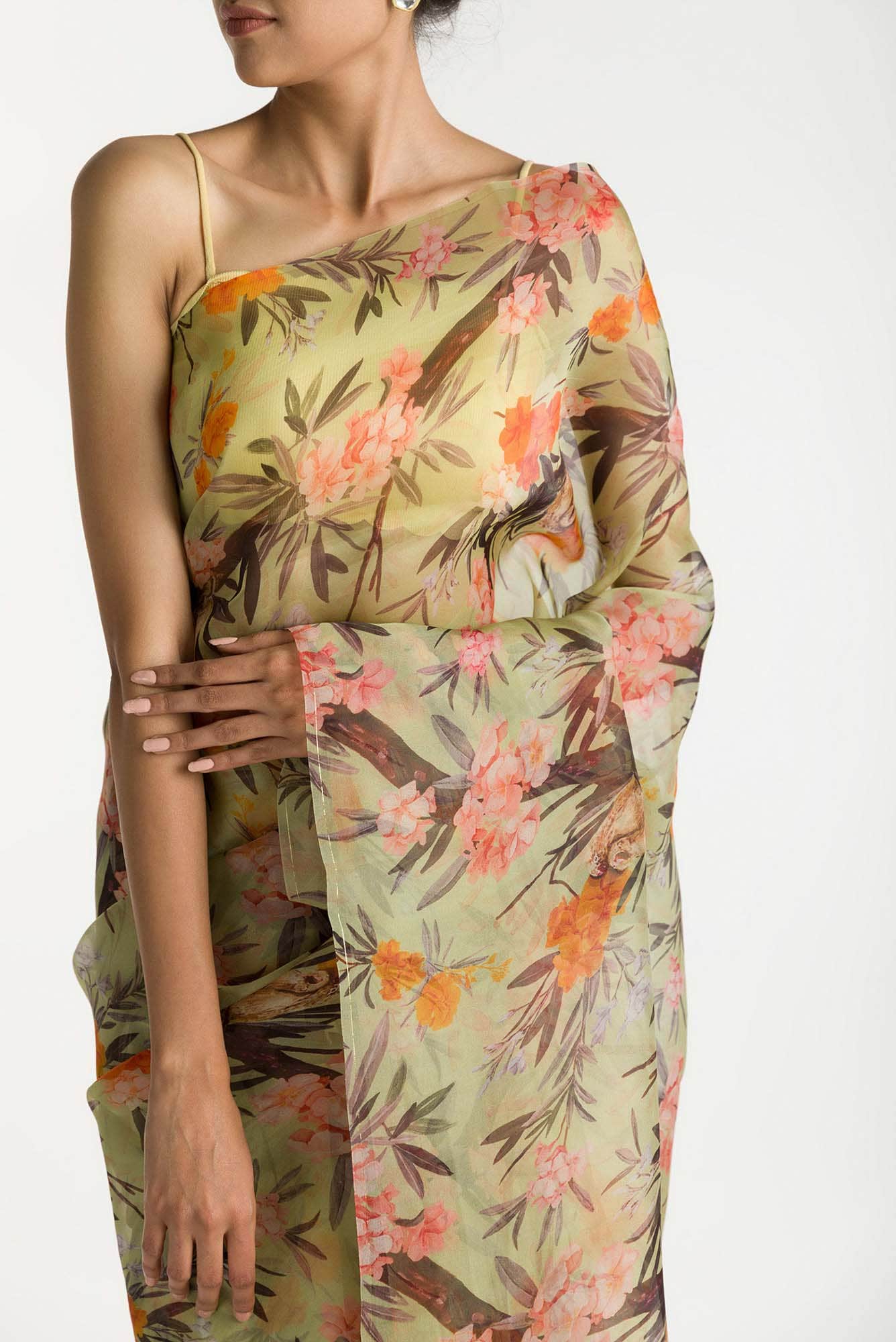 Tropical Parrots Pista Green Pure Organza Silk Saree