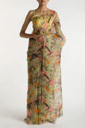 Tropical Parrots Pista Green Pure Organza Silk Saree