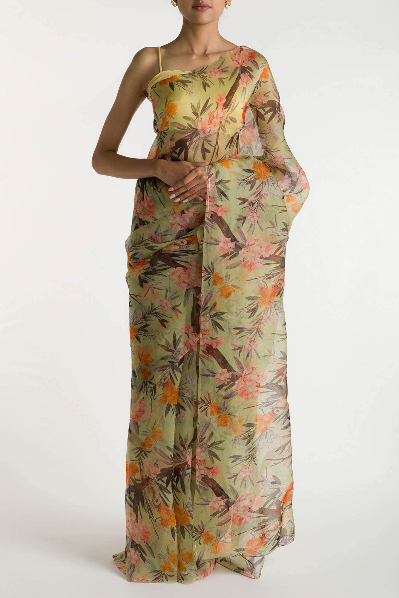 Tropical Parrots Pista Green Pure Organza Silk Saree