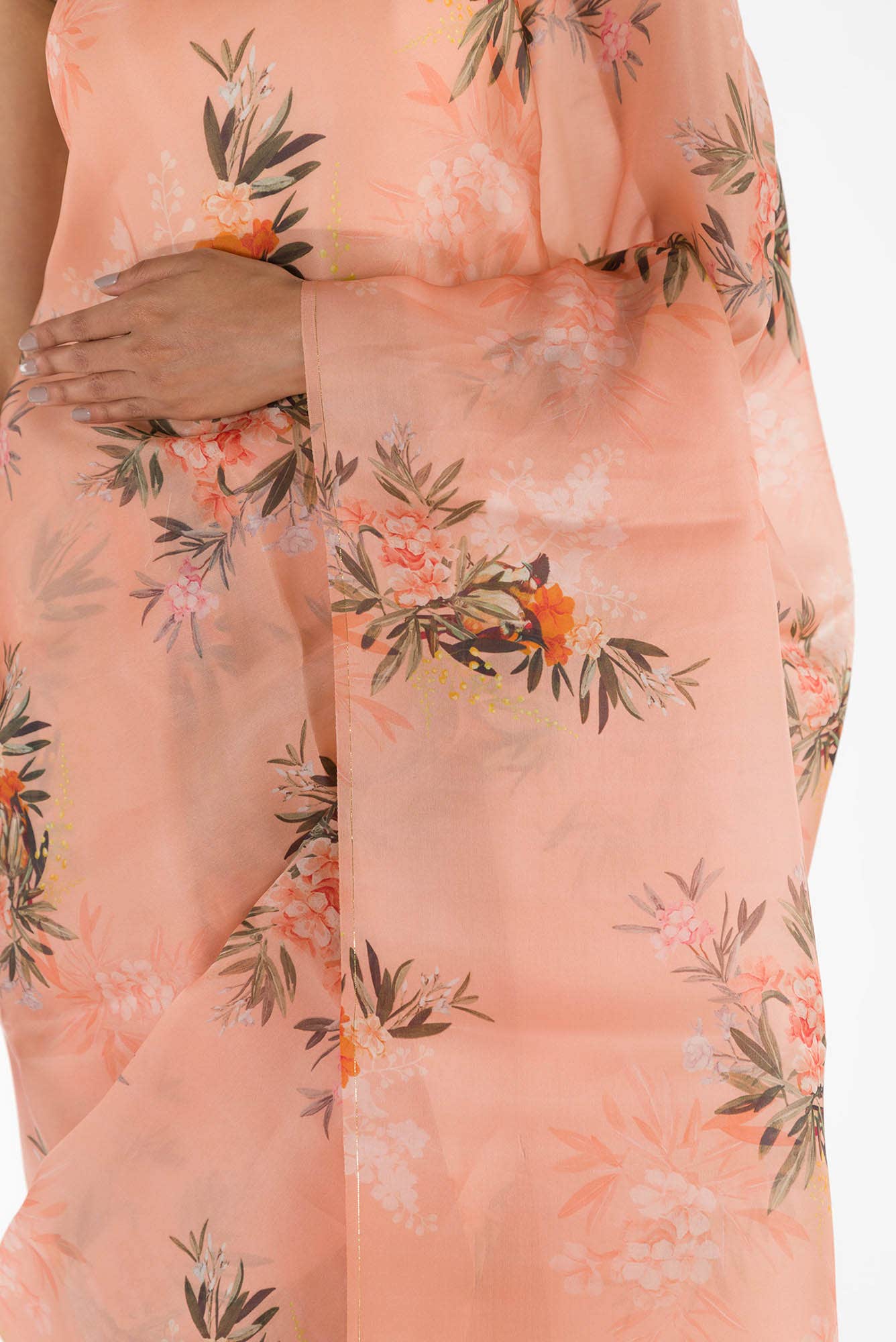 Enigmatic bulbuls Peach Satin Organza Saree
