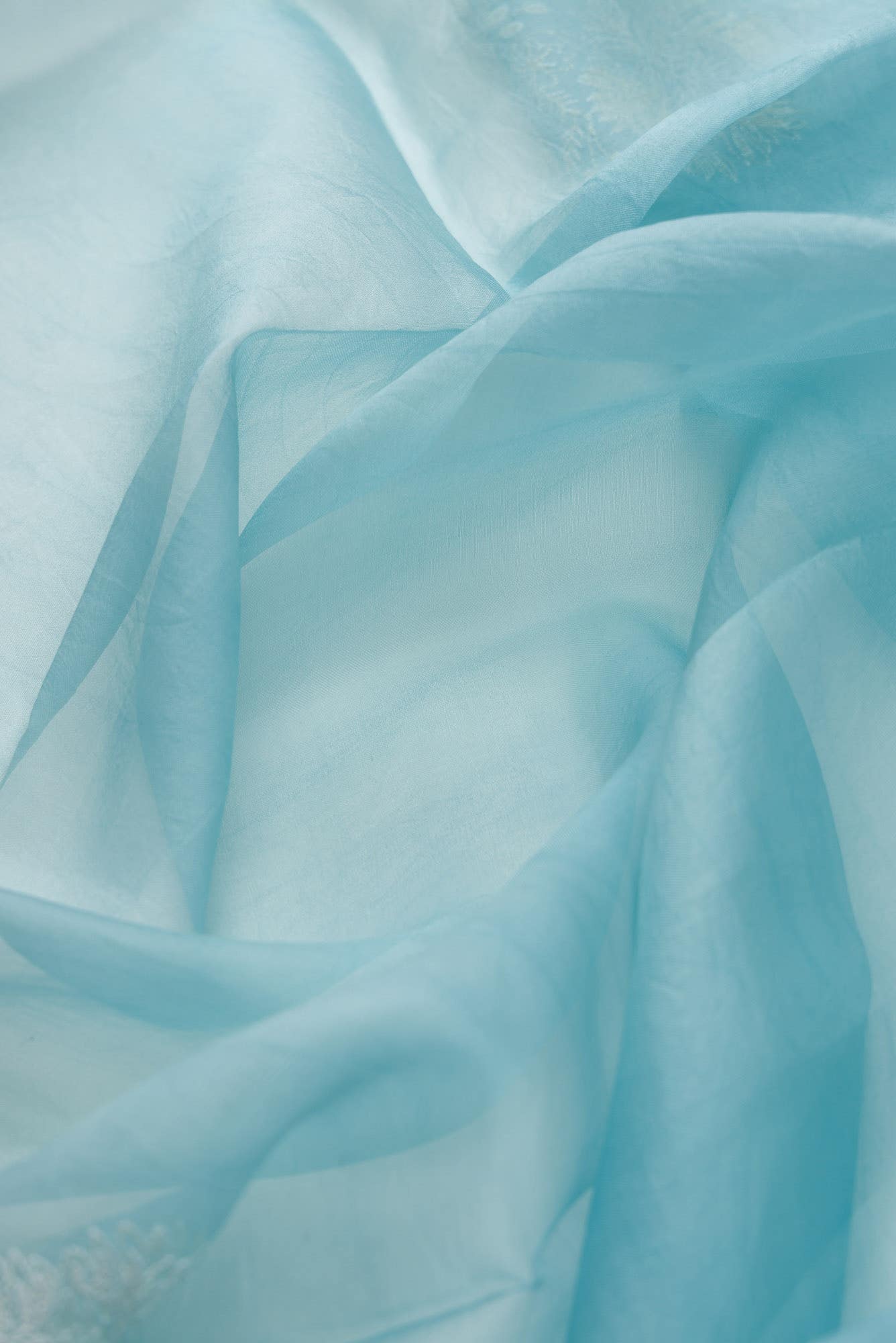 Asteracea Blue floral design saree from Embroidered Romance Collection by Nalli