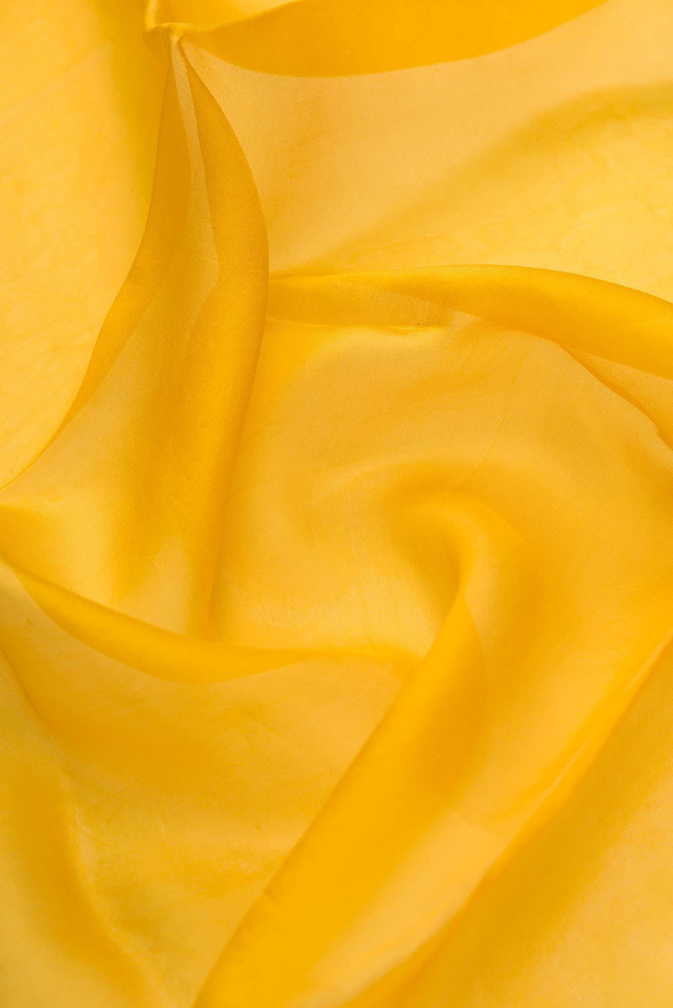 Asteracea Yellow floral design saree from Embroidered Romance Collection by Nalli