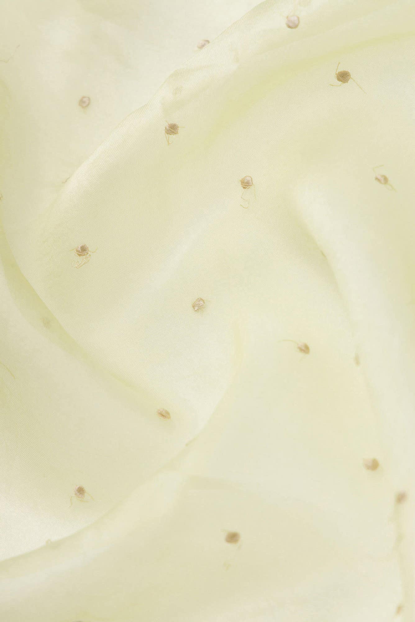 Piety of a Lili Cream floral design saree from Embroidered Romance Collection by Nalli