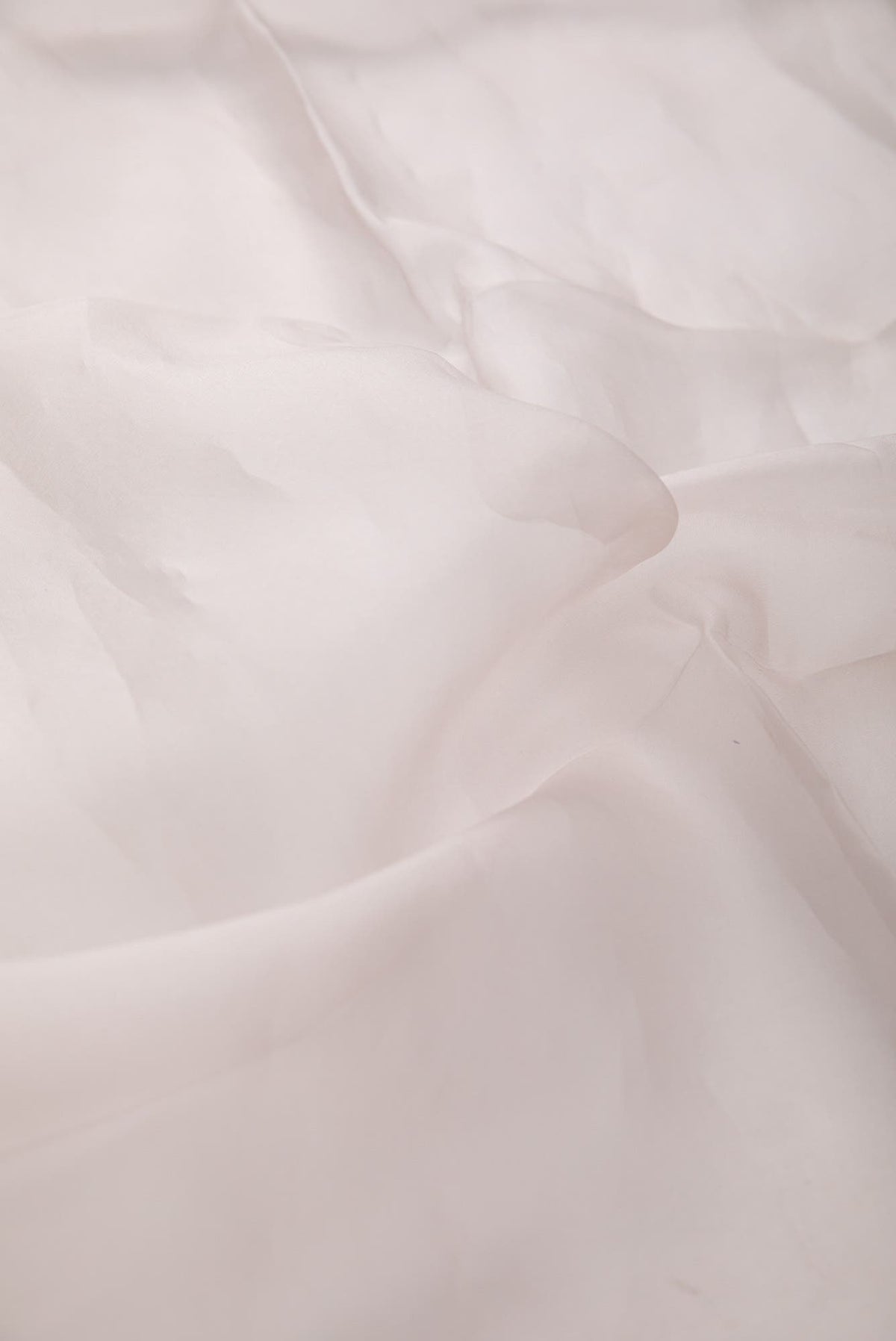 The Story of Dahlia & Sparrows Off white Stole from Birds of Paradise, Scarves & Stoles Collection