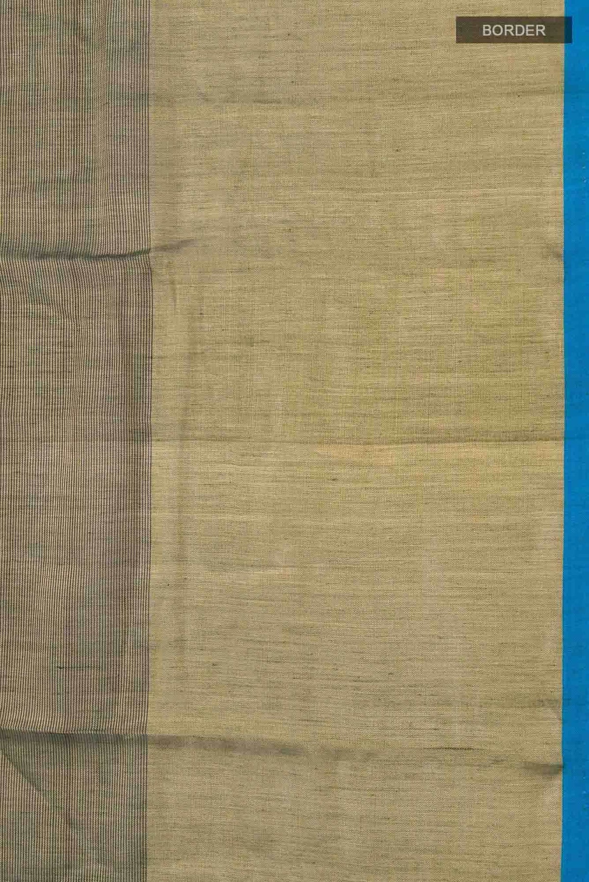 Green Chanderi Tissue Silk Cotton Saree