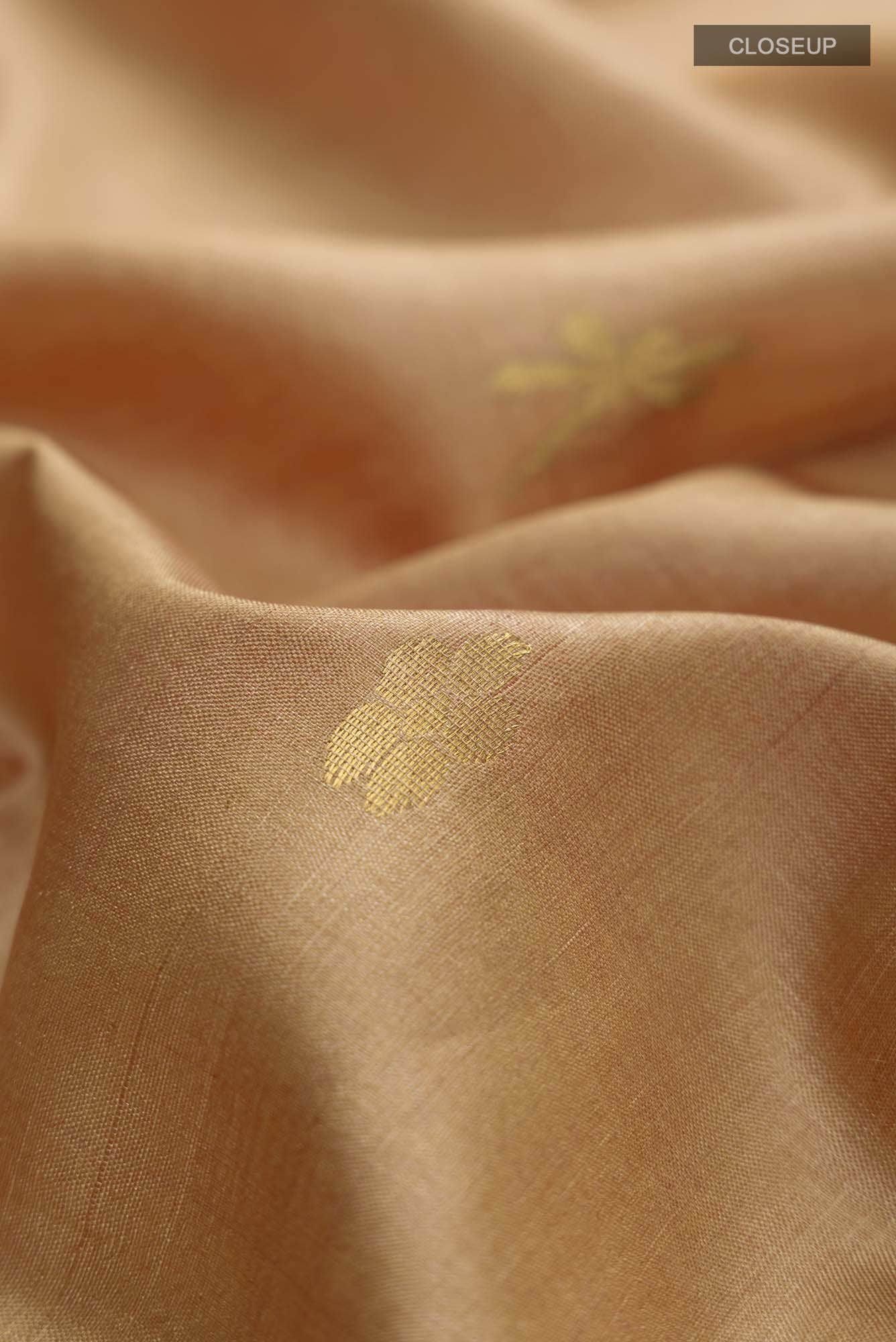 Dance of Dragonfly-Brown Bhagalpuri Tussar Silk Saree