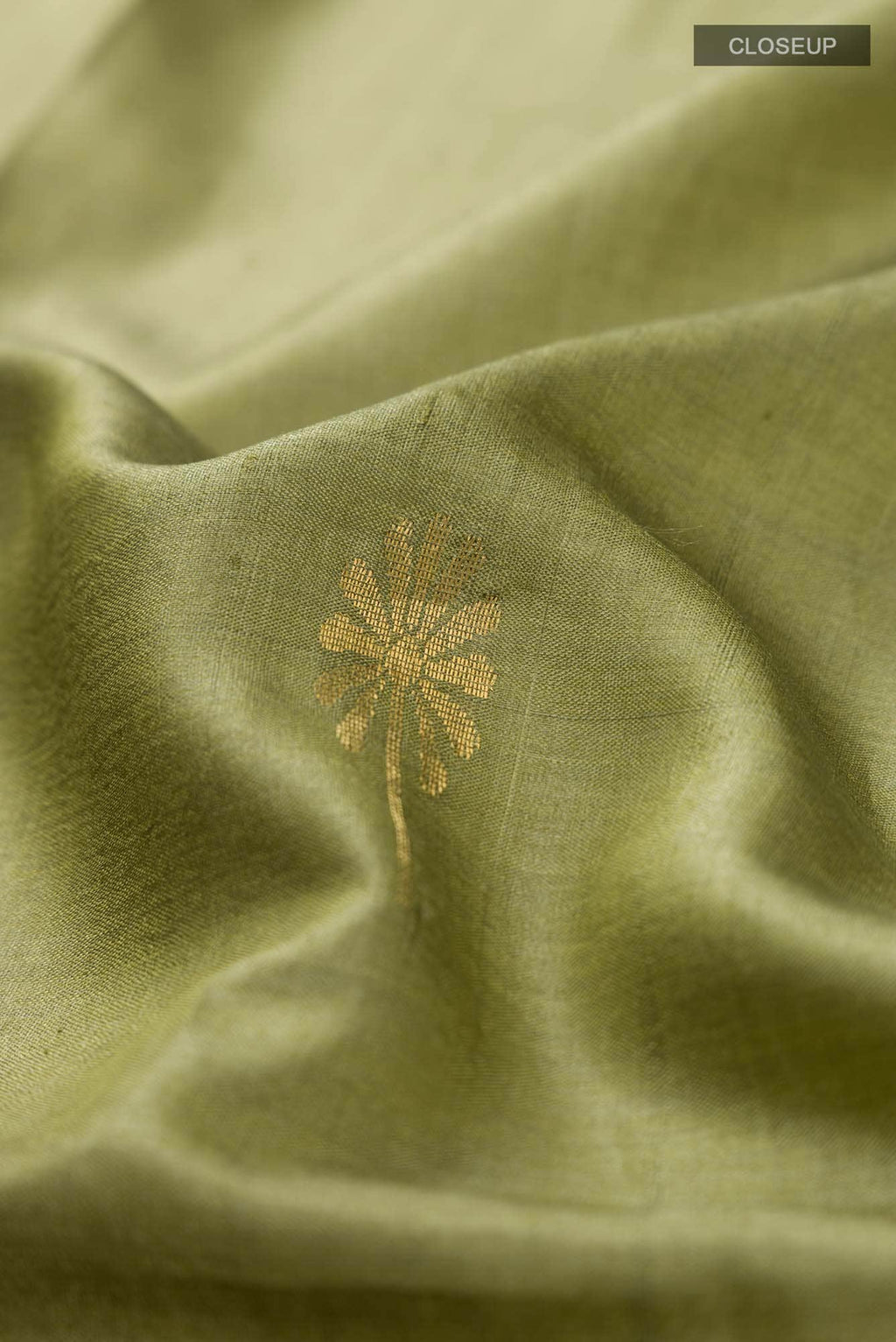 Juliet in the Jungle-Green Bhagalpuri Tussar Silk Saree