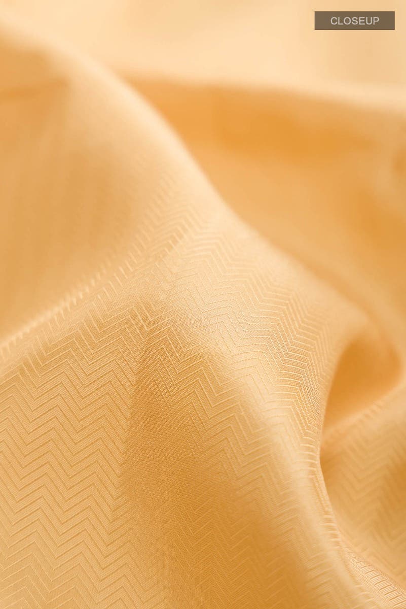 Beige Kanchipuram Silk Saree