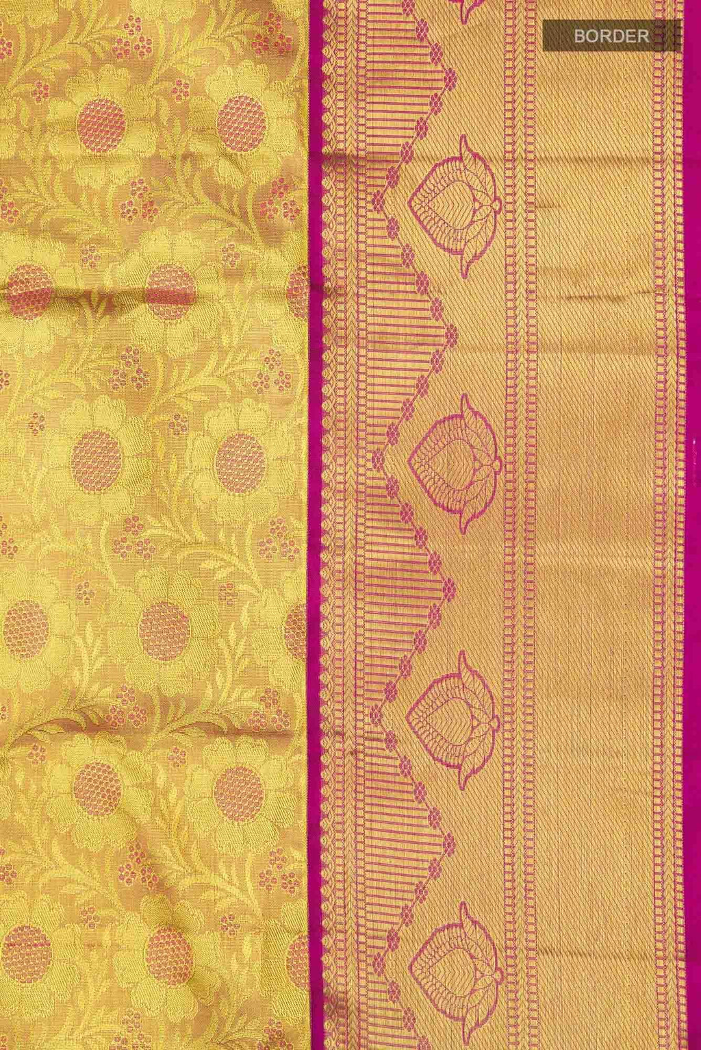 Gold with Red Dual Tone Kanchipuram Tissue Silk Saree