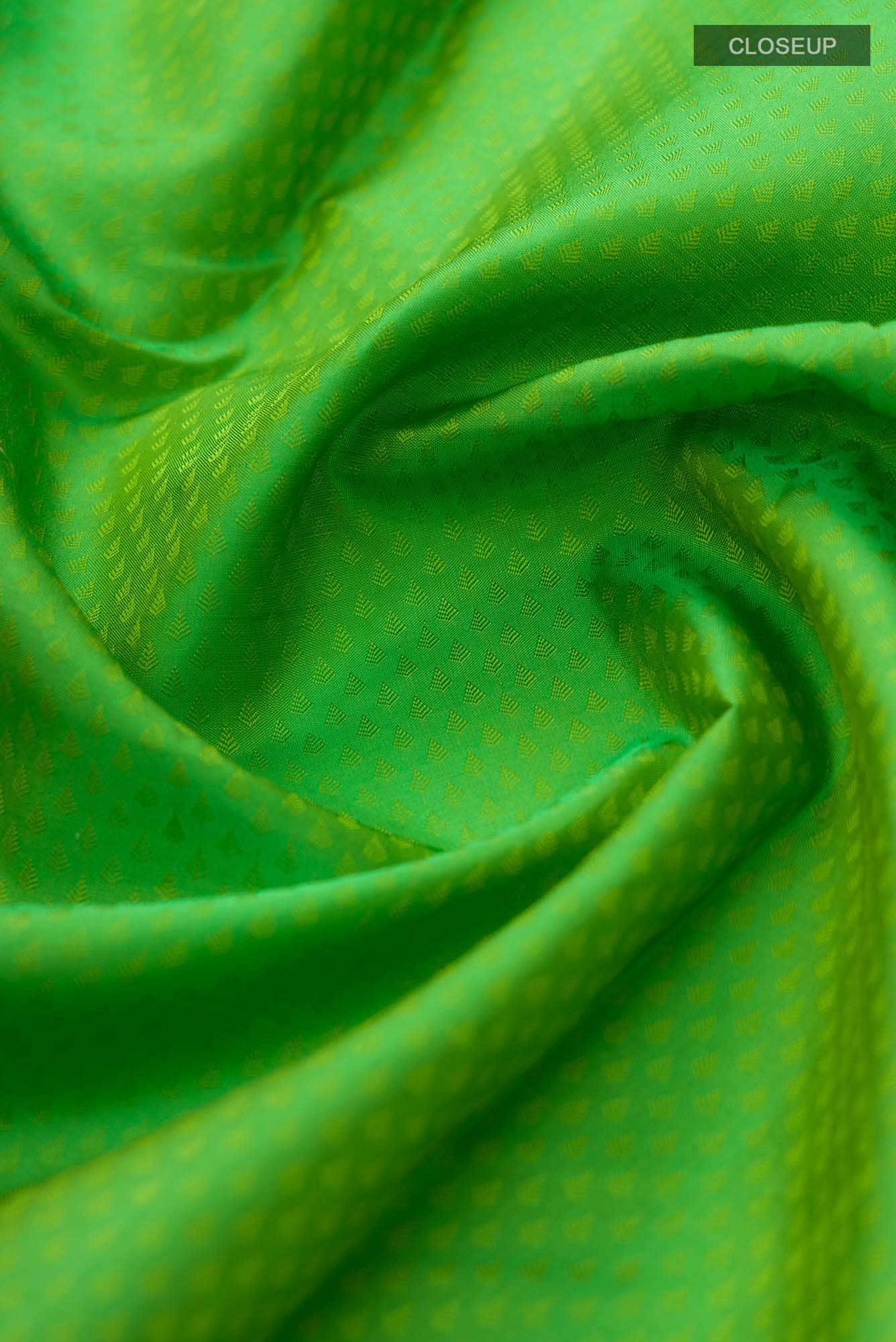 Green Kanchipuram Silk Saree