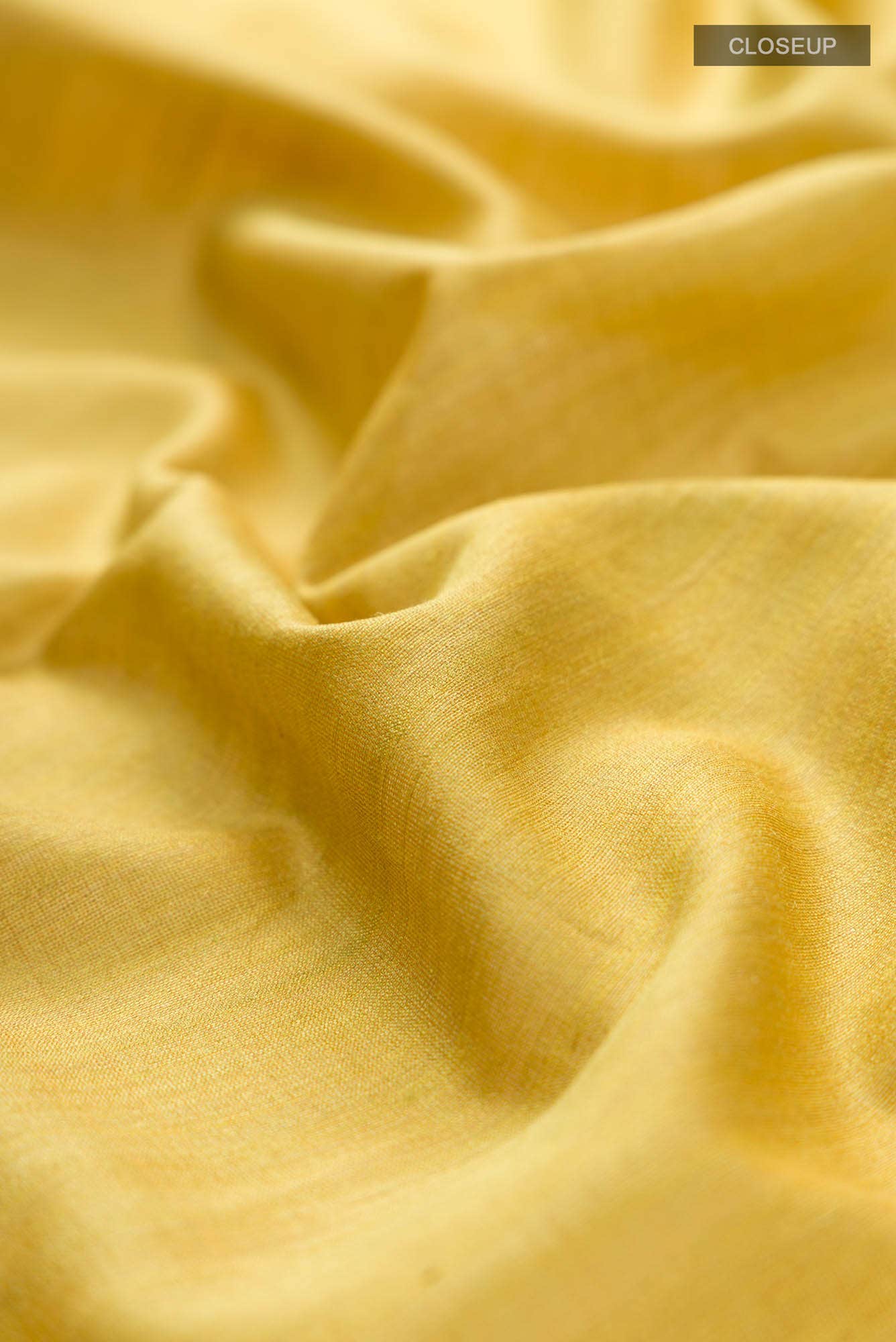 Forget Me Not-Yellow Bhagalpuri Tussar Silk Saree