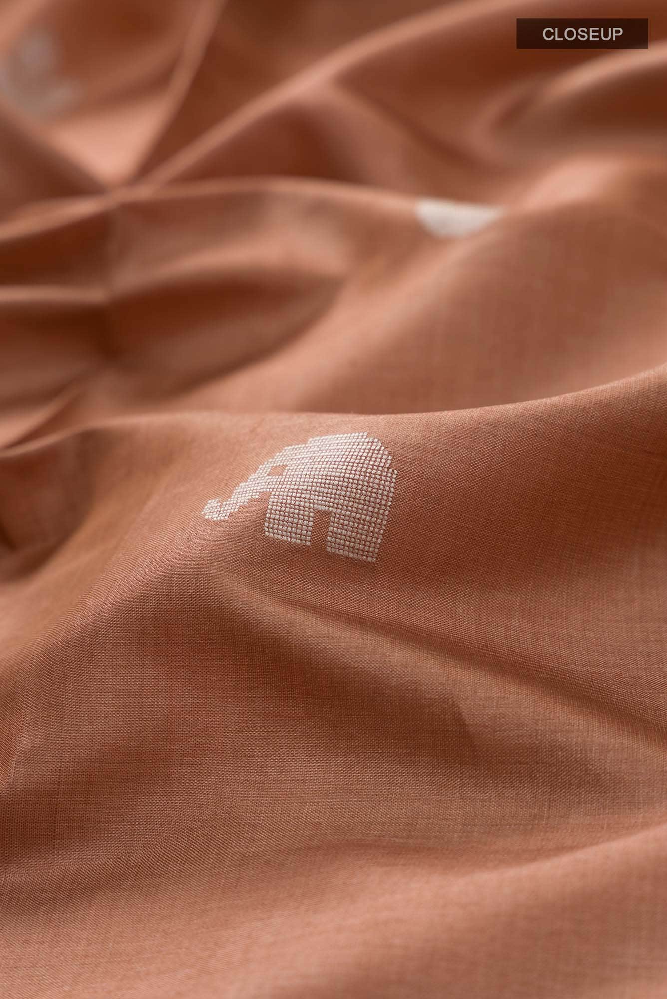 Elephant Whispers-Brown Bhagalpuri Tussar Silk Saree