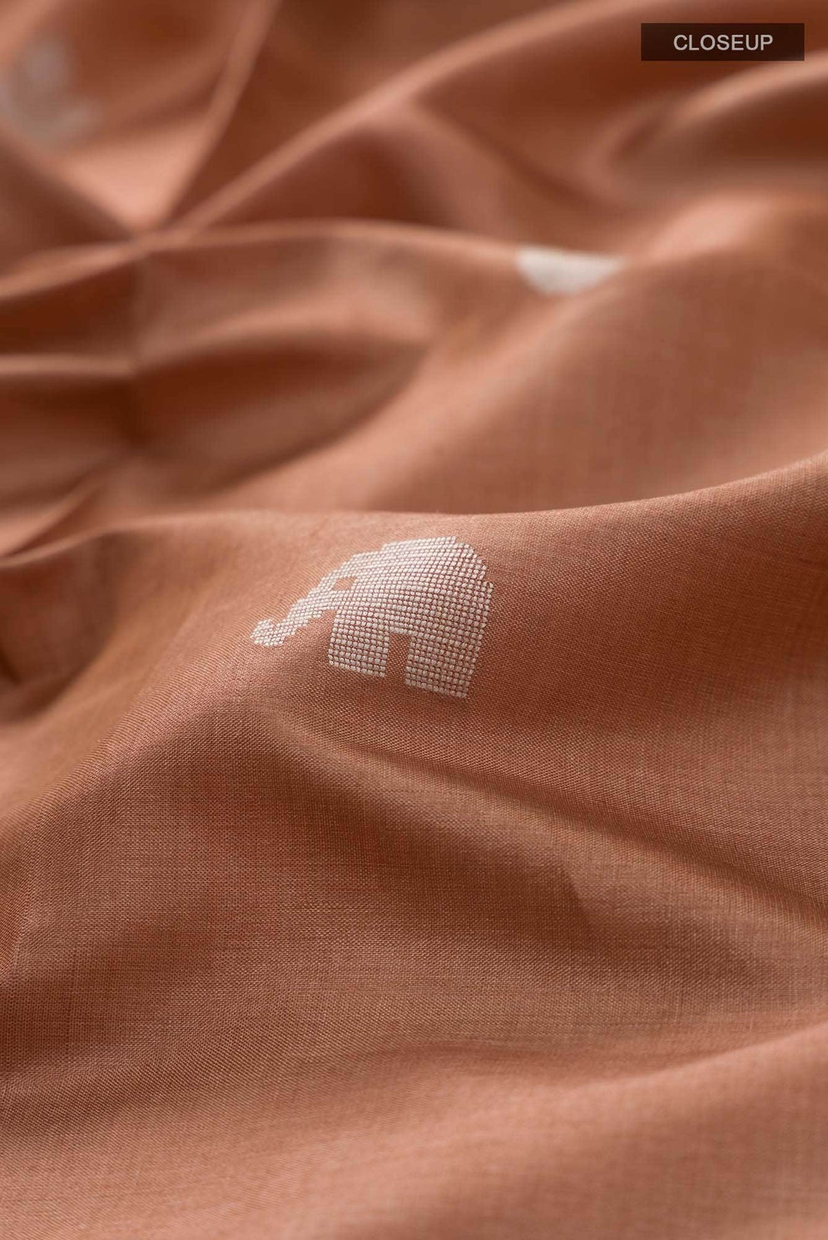 Elephant Whispers-Brown Bhagalpuri Tussar Silk Saree